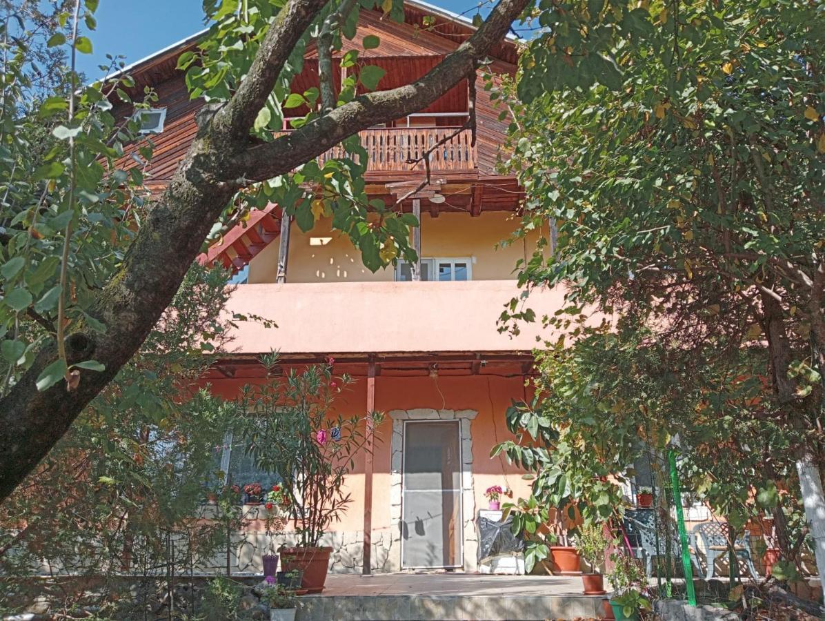 Vila Mara Sărata-Monteoru Εξωτερικό φωτογραφία
